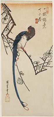 Utagawa Hiroshige   Pappagallo su un ramo di pino 1830-35 circa 383 x 171 mm silografia policroma Museum of Fine Arts, Boston  William Sturgis Bigelow Collection