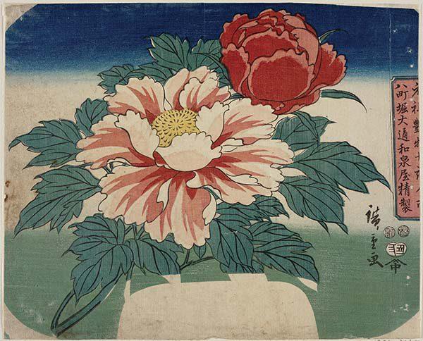 Utagawa Hiroshige -Peonie - 1853, secondo mese  219 x 270 mm - silografia policroma Museum of Fine Arts, Boston - Asiatic Curator's Fund