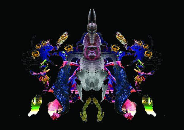Rorschach blot 10 2016 assemblage fotografico cm 43x55