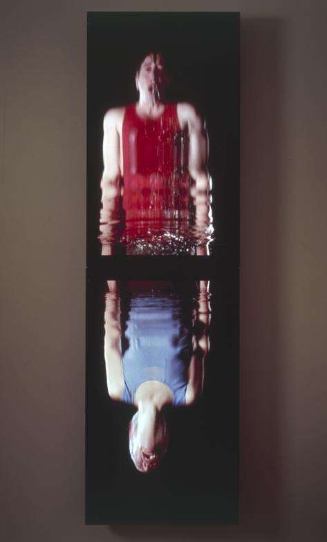 Surrender 2001 Piano Nobile