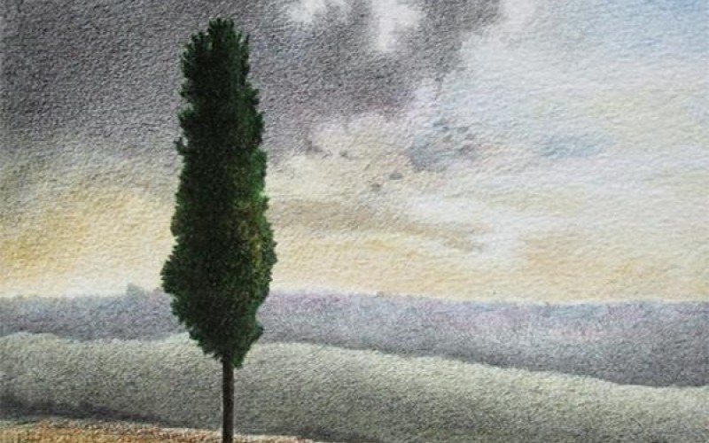 Fabio Grassi. L’altrove e lo spazio.