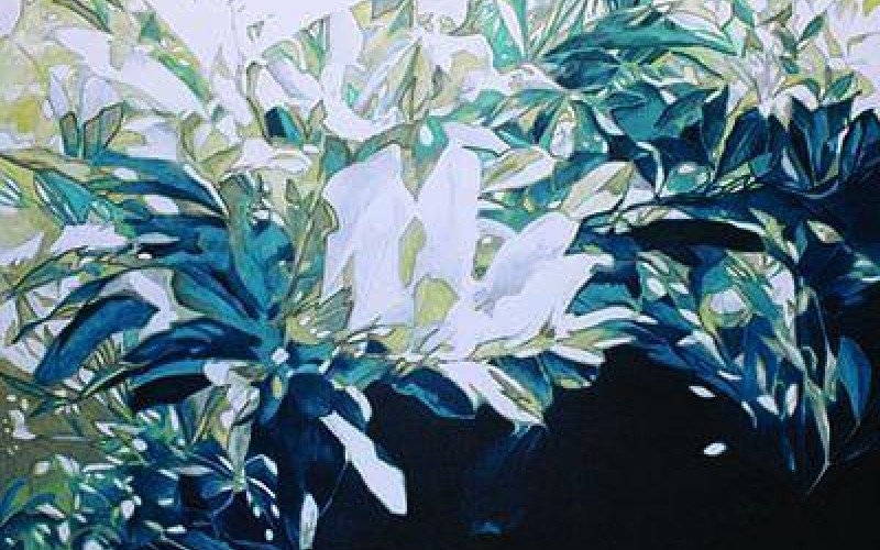 Nel segno della Musa, le interviste di M. Spataro