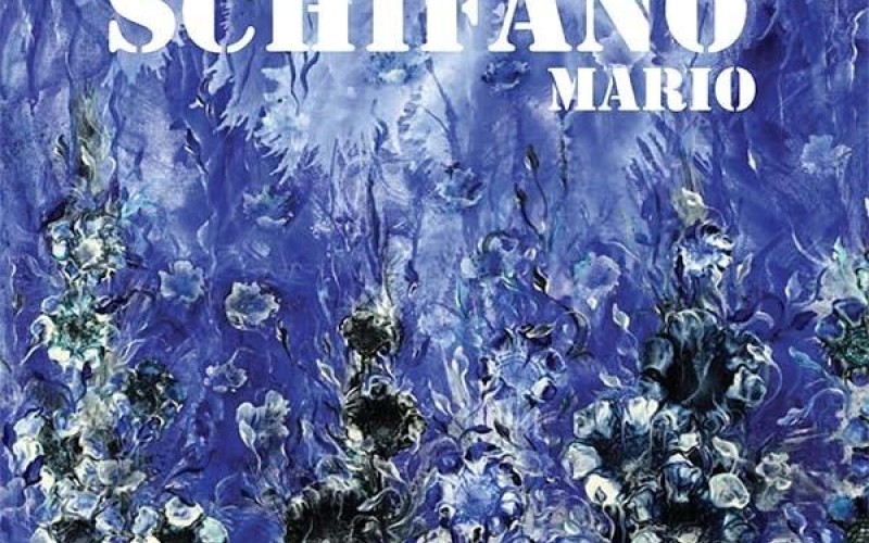 Mostra SCHIAVON-SCHIFANO a Padova: Cronaca di un successo