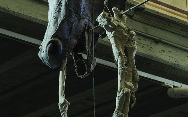 La Biennale di Venezia. 59a Esposizione Internazionale d’Arte