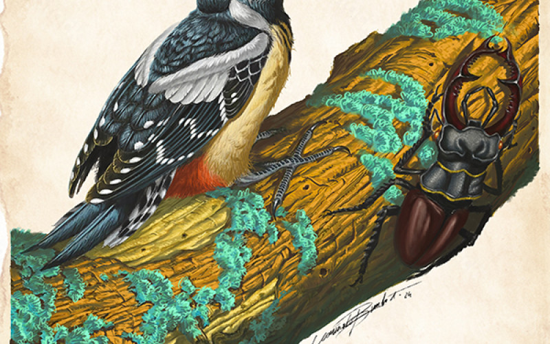 Leonardo Bimbati. Un giovane talento.