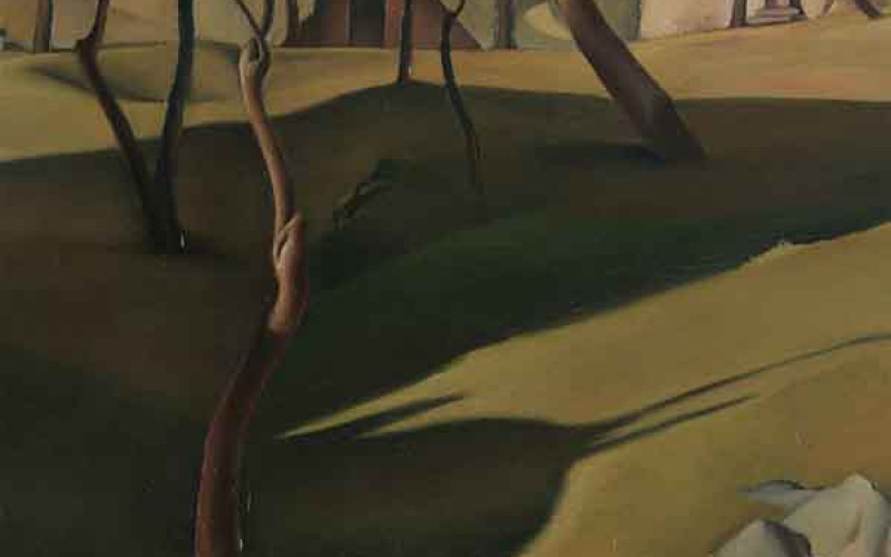 “Paesaggi magici”