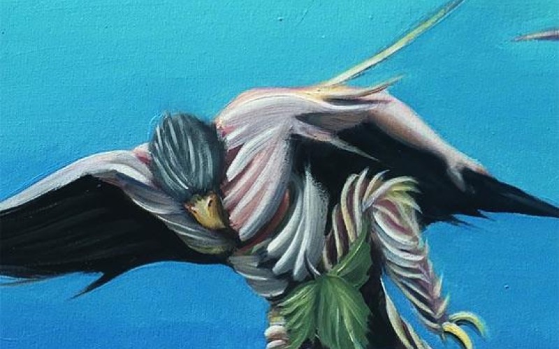 Surreali espressioni