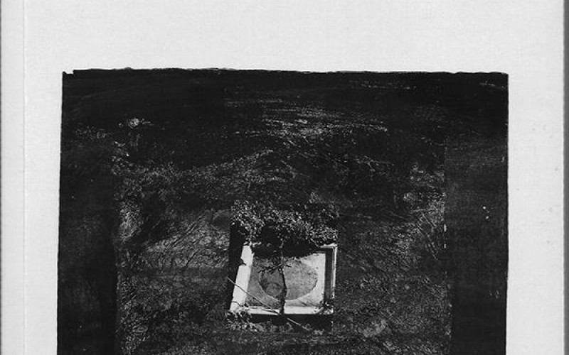 Consigli di lettura - Il tempo del corvo e del ragno