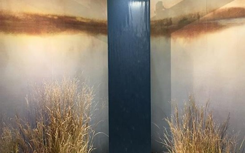 Inaugurata a Milano Fontana Colonna, un’opera innovativa e sostenibile di Forme D'Acqua per la nuova Linea Solidi d'Acqua