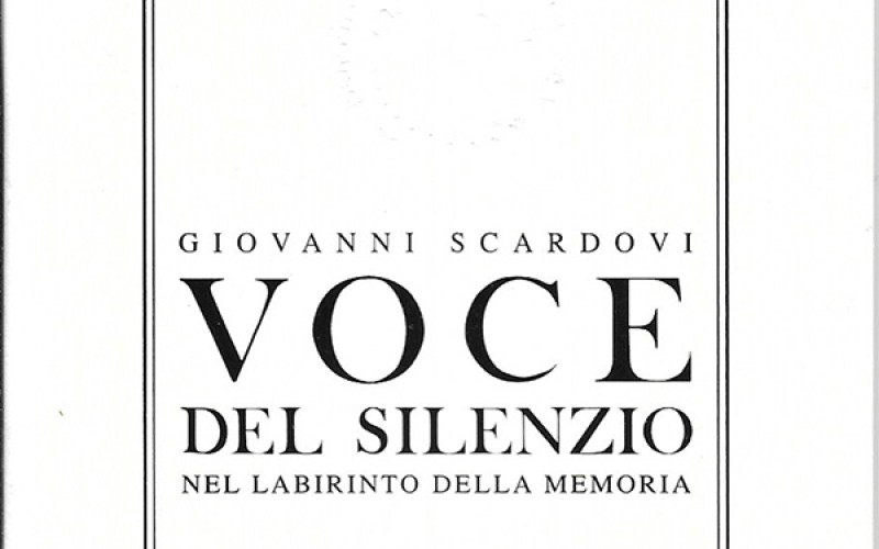 Consigli di lettura - Voce del silenzio